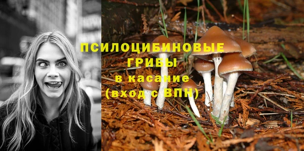 a pvp Нефтекумск