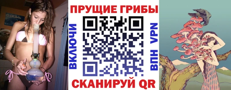 Галлюциногенные грибы ЛСД  Купить закладки  Кедровый 